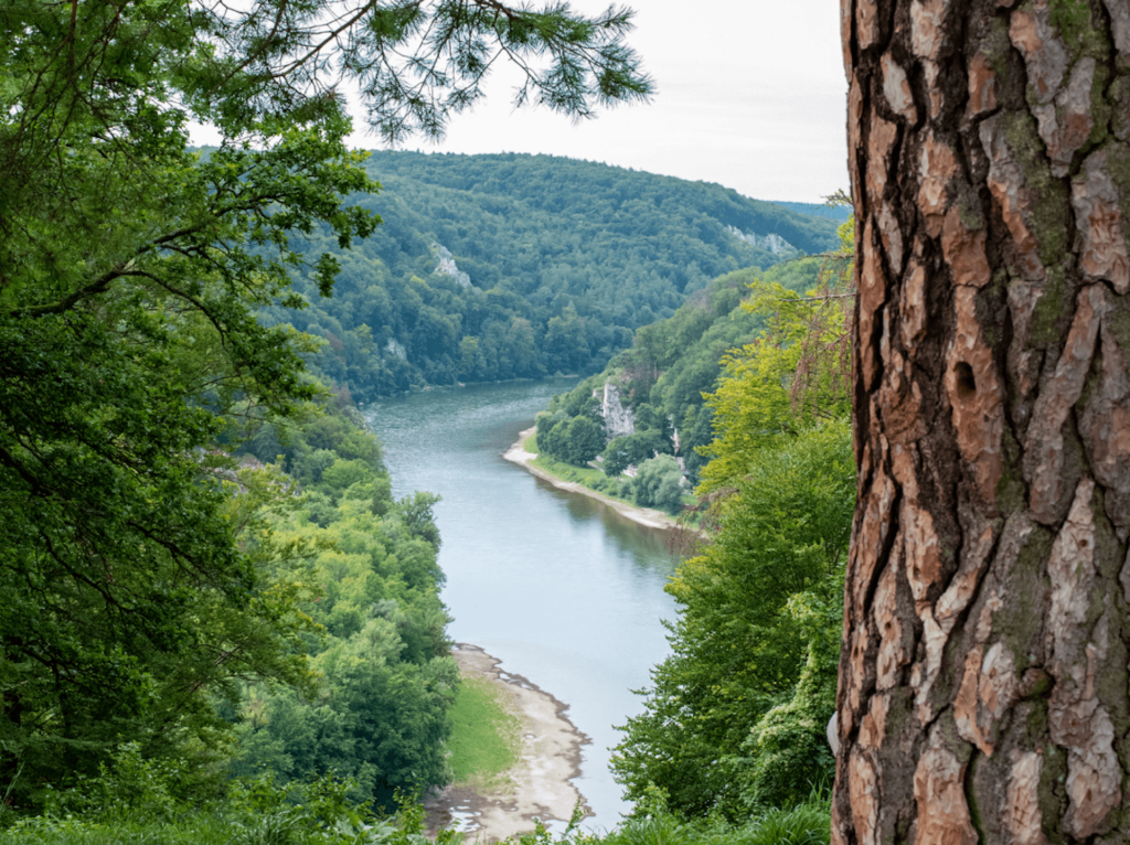 Der Blick vom Michelsberg in Kelheim auf die Donau. Der Blick vom Michelsberg in Kelheim auf die Donau.