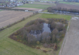 Fischweiher mit Steg und Biotop in Parkstetten! - Bild