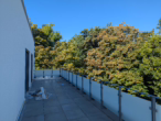 Dachterrasse - Neubau mit Aufzug! Penthouse mit Einbauküche im Zentrum von Straubing!