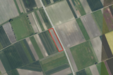 Landwirtschaftsfläche/Ausgleichsfläche (teilbar) in Wallersdorf! - Bild