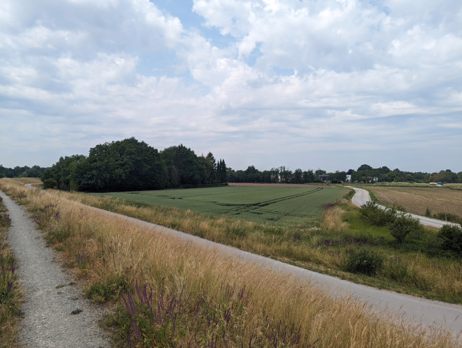 Landwirtschaftsfläche/Ausgleichsfläche in Straubing! - Bild (49409)