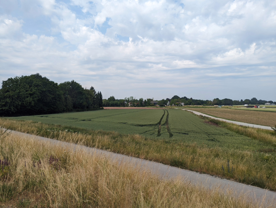 Landwirtschaftsfläche/Ausgleichsfläche in Straubing! - Titelbild (49408)