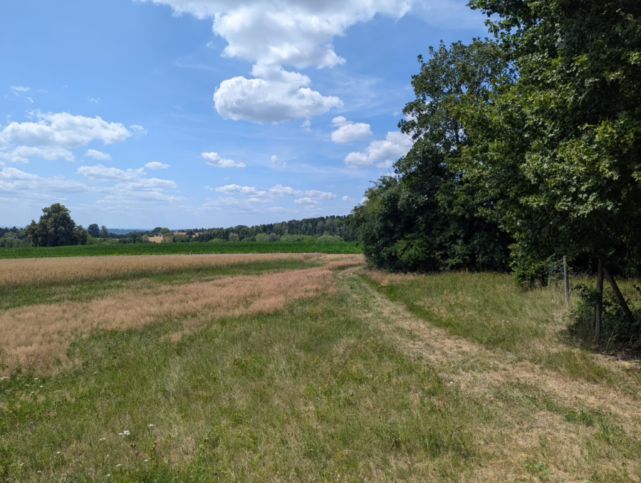 Baugrundstück mit einem herrlichen und unverbaubaren Ausblick in die Natur ! - Aussicht (64976)
