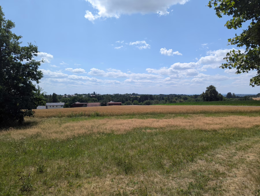Baugrundstück mit einem herrlichen und unverbaubaren Ausblick in die Natur ! - Aussicht (64975)