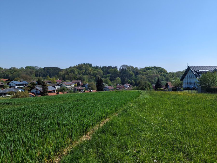 Einfamilienhaus mit ELW und großem Grundstück für Tierhaltung! - Grundstück (48906)