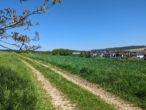 Grundstück - Einfamilienhaus mit ELW und großem Grundstück für Tierhaltung!