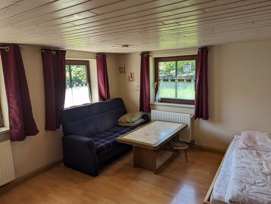 Einfamilienhaus mit ELW und großem Grundstück für Tierhaltung! - Wohnzimmer (48916)